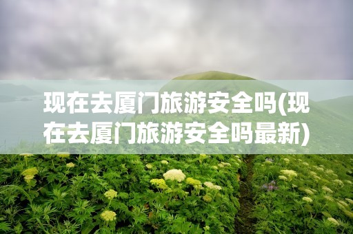 现在去厦门旅游安全吗(现在去厦门旅游安全吗最新)