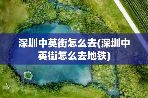 深圳中英街怎么去(深圳中英街怎么去地铁)