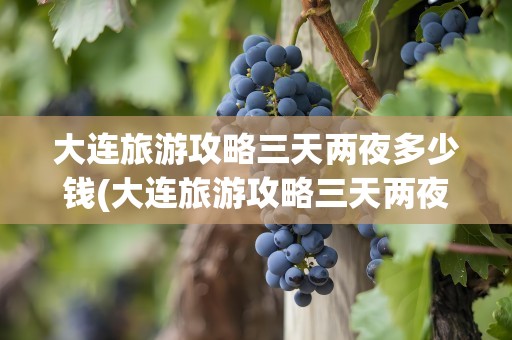 大连旅游攻略三天两夜多少钱(大连旅游攻略三天两夜多少钱一天)