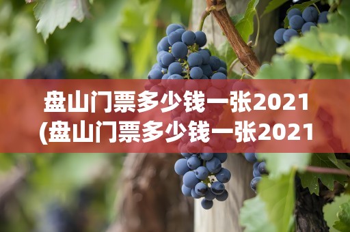 盘山门票多少钱一张2021(盘山门票多少钱一张2021年)
