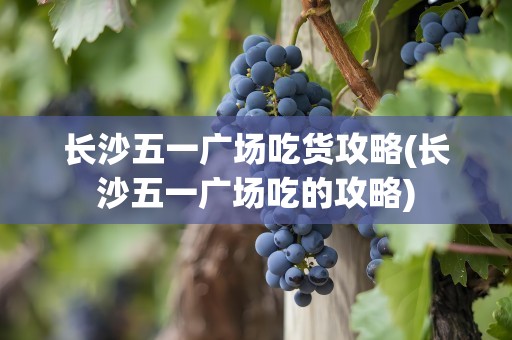 长沙五一广场吃货攻略(长沙五一广场吃的攻略)