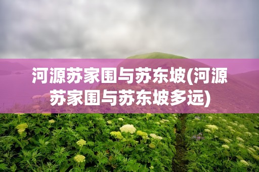 河源苏家围与苏东坡(河源苏家围与苏东坡多远)