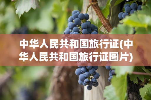 中华人民共和国旅行证(中华人民共和国旅行证图片)