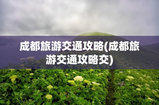 成都旅游交通攻略(成都旅游交通攻略交)