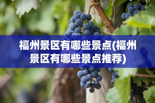 福州景区有哪些景点(福州景区有哪些景点推荐)
