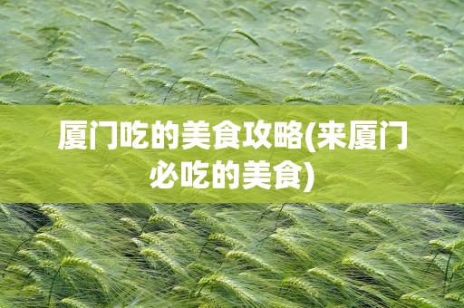 厦门吃的美食攻略(来厦门必吃的美食)