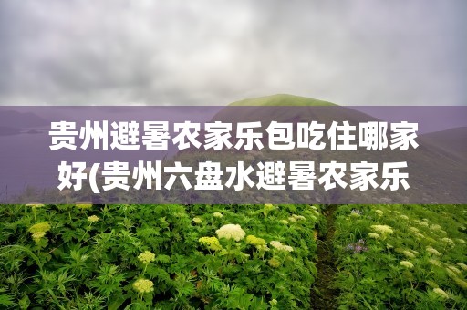 贵州避暑农家乐包吃住哪家好(贵州六盘水避暑农家乐包吃住)