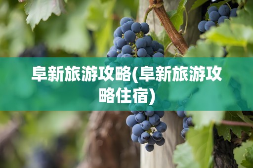 阜新旅游攻略(阜新旅游攻略住宿)