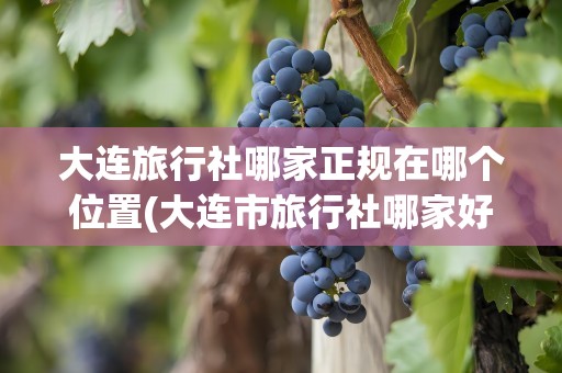 大连旅行社哪家正规在哪个位置(大连市旅行社哪家好)