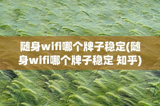 随身wifi哪个牌子稳定(随身wifi哪个牌子稳定 知乎)