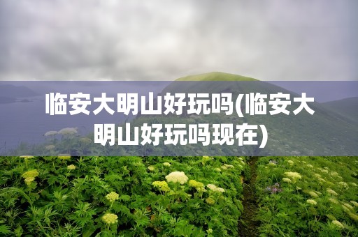 临安大明山好玩吗(临安大明山好玩吗现在)