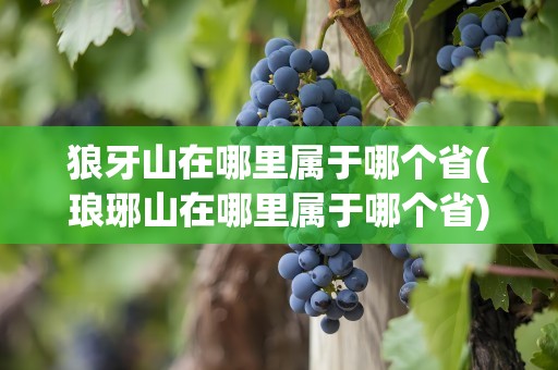 狼牙山在哪里属于哪个省(琅琊山在哪里属于哪个省)