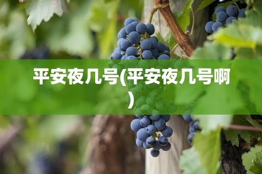 平安夜几号(平安夜几号啊)
