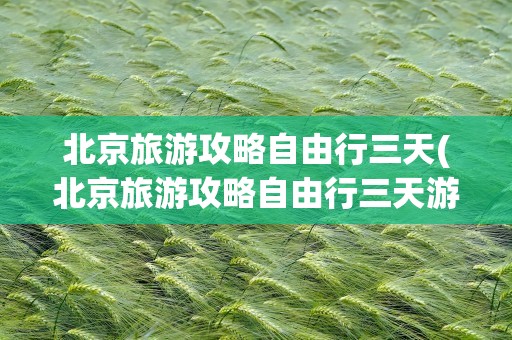 北京旅游攻略自由行三天(北京旅游攻略自由行三天游)