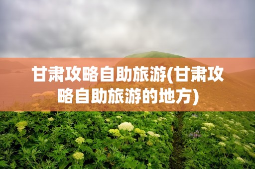 甘肃攻略自助旅游(甘肃攻略自助旅游的地方)