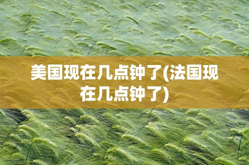 美国现在几点钟了(法国现在几点钟了)