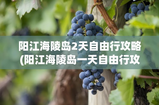 阳江海陵岛2天自由行攻略(阳江海陵岛一天自由行攻略)