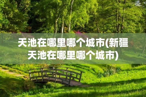 天池在哪里哪个城市(新疆天池在哪里哪个城市)
