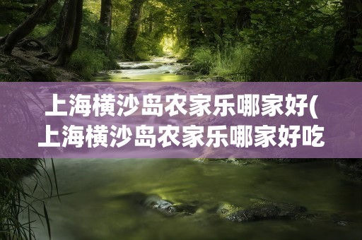 上海横沙岛农家乐哪家好(上海横沙岛农家乐哪家好吃)