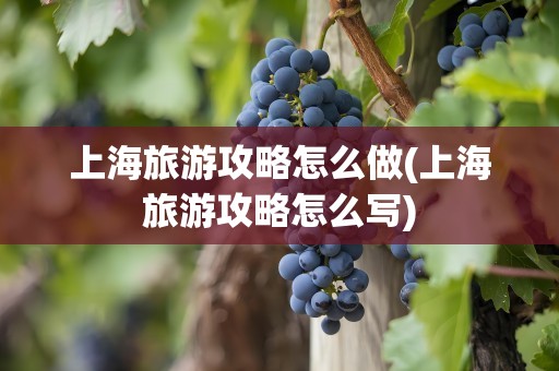 上海旅游攻略怎么做(上海旅游攻略怎么写)