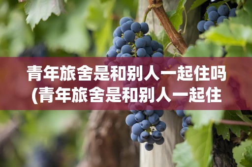 青年旅舍是和别人一起住吗(青年旅舍是和别人一起住吗知乎)