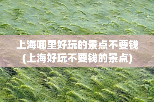上海哪里好玩的景点不要钱(上海好玩不要钱的景点)