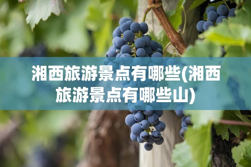 湘西旅游景点有哪些(湘西旅游景点有哪些山)