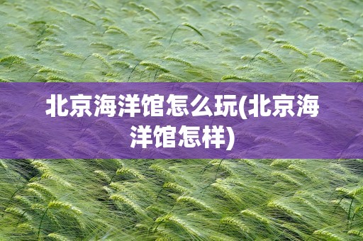 北京海洋馆怎么玩(北京海洋馆怎样)