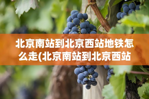 北京南站到北京西站地铁怎么走(北京南站到北京西站地铁怎么走近)