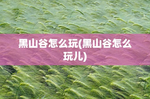 黑山谷怎么玩(黑山谷怎么玩儿)