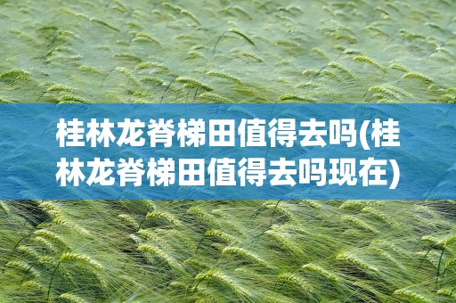 桂林龙脊梯田值得去吗(桂林龙脊梯田值得去吗现在)