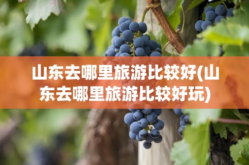 山东去哪里旅游比较好(山东去哪里旅游比较好玩)