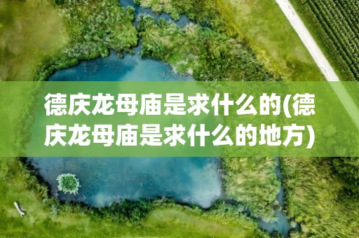 德庆龙母庙是求什么的(德庆龙母庙是求什么的地方)