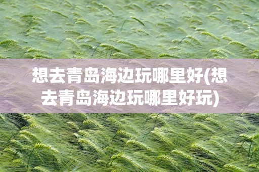 想去青岛海边玩哪里好(想去青岛海边玩哪里好玩)