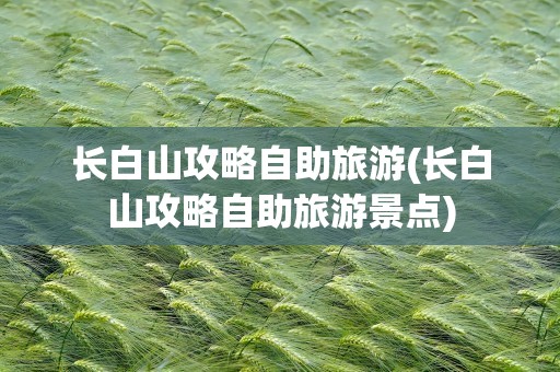 长白山攻略自助旅游(长白山攻略自助旅游景点)