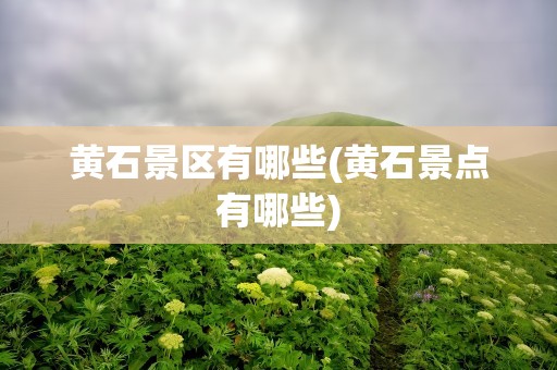 黄石景区有哪些(黄石景点有哪些)