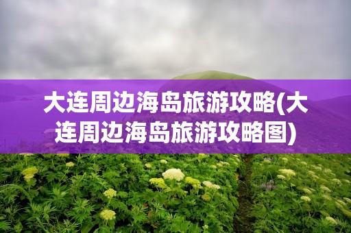 大连周边海岛旅游攻略(大连周边海岛旅游攻略图)