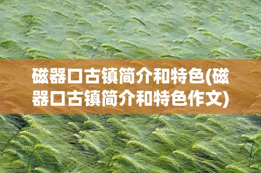 磁器口古镇简介和特色(磁器口古镇简介和特色作文)