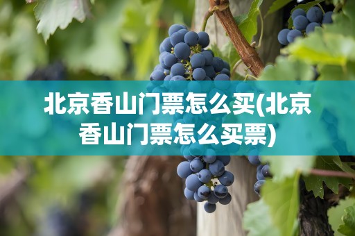 北京香山门票怎么买(北京香山门票怎么买票)