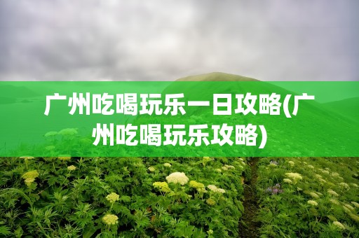 广州吃喝玩乐一日攻略(广州吃喝玩乐攻略)