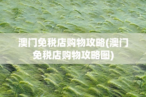 澳门免税店购物攻略(澳门免税店购物攻略图)