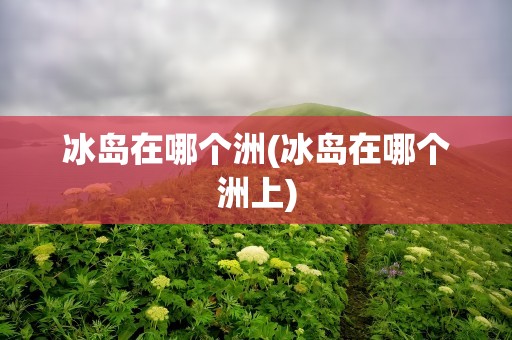 冰岛在哪个洲(冰岛在哪个洲上)