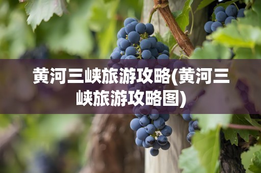 黄河三峡旅游攻略(黄河三峡旅游攻略图)