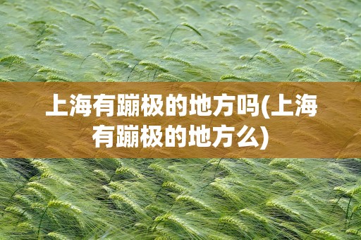 上海有蹦极的地方吗(上海有蹦极的地方么)