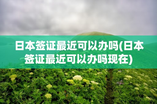 日本签证最近可以办吗(日本签证最近可以办吗现在)