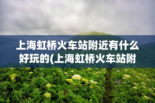 上海虹桥火车站附近有什么好玩的(上海虹桥火车站附近有什么好玩的地方)
