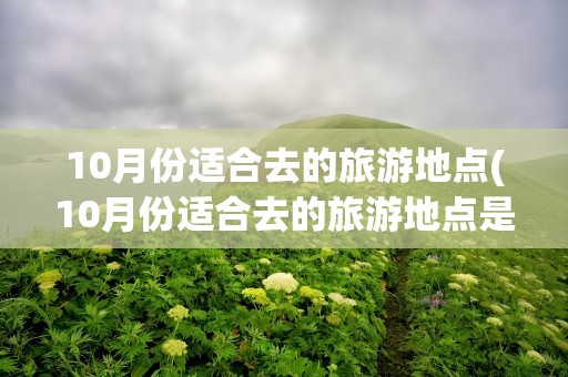 10月份适合去的旅游地点(10月份适合去的旅游地点是)