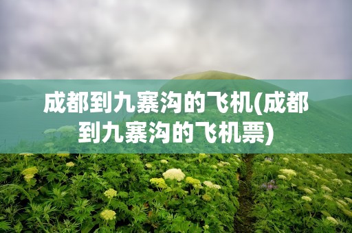 成都到九寨沟的飞机(成都到九寨沟的飞机票)
