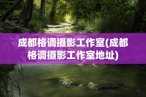成都格调摄影工作室(成都格调摄影工作室地址)