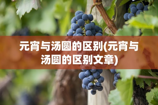 元宵与汤圆的区别(元宵与汤圆的区别文章)
